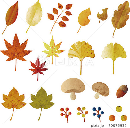 秋の素材 水彩 イラストセットのイラスト素材