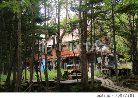 初秋の北八ヶ岳　白駒池がある風景　青苔荘 70077381