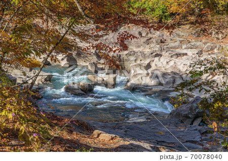 渓谷の紅葉 70078040