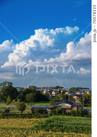 住宅地と田園風景 荒川土手より指扇駅 上尾方面を望む 住宅地と田園風景 荒川土手より指扇駅 上尾方面を望む 70078335