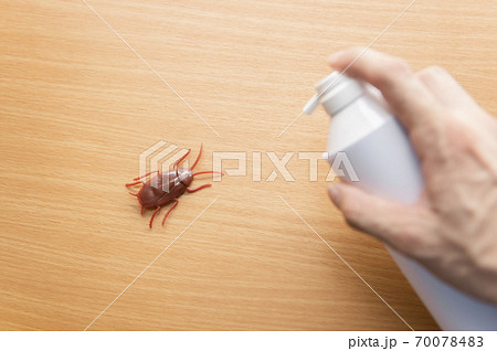 殺虫剤でゴキブリを退治するイメージの写真素材