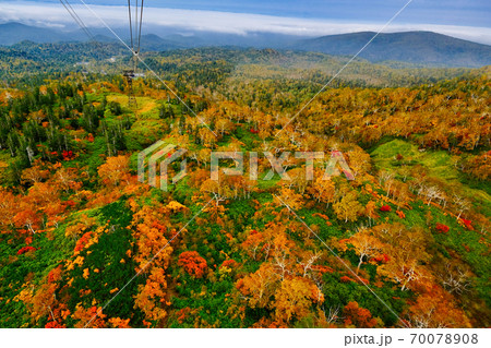 旭岳の紅葉  70078908