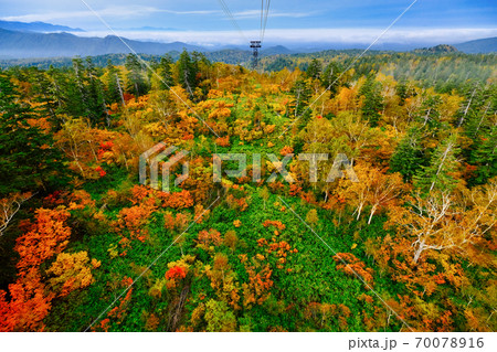 旭岳の紅葉  70078916