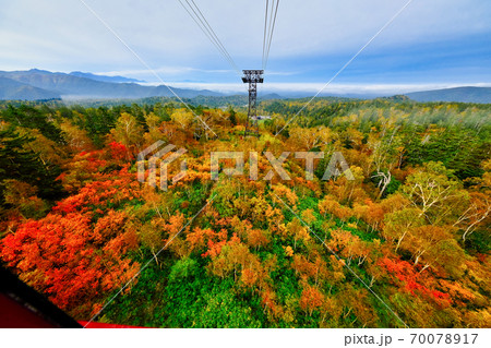旭岳の紅葉  70078917