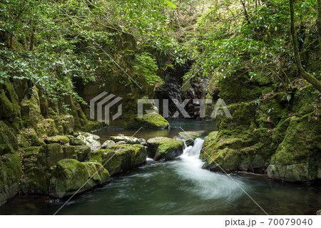 苔むした岩の間を流れる渓流 苔むした岩の間を流れる渓流 70079040