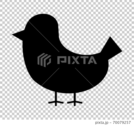 鳥的輪廓 70079257