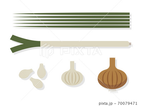 Five Legged Vegetable Illustration Stock Illustration