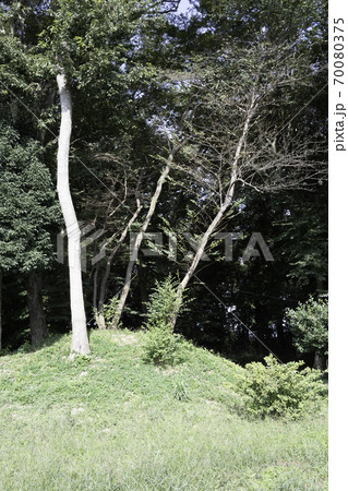 日光街道　喜沢の一里塚 70080375