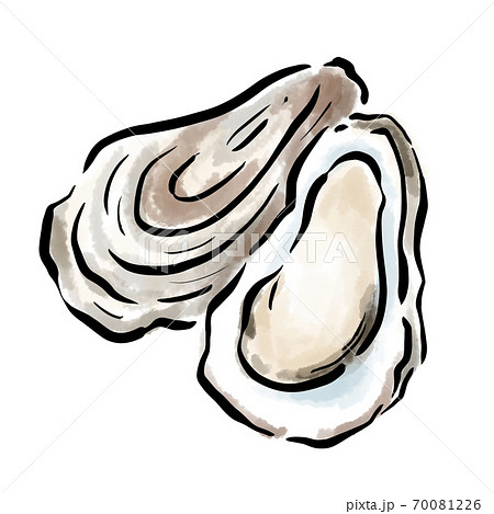 Oyster oyster watercolor hand-painted brush - Stock