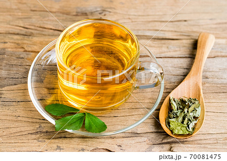 Stevia tea in a glass cup 70081475
