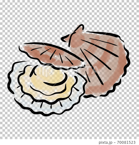 扇貝扇貝水彩筆手繪素材 70081523