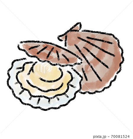 ホタテ 帆立 水彩 手描き 素材のイラスト素材 ホタテ 帆立 水彩 手描き 素材のイラスト素材