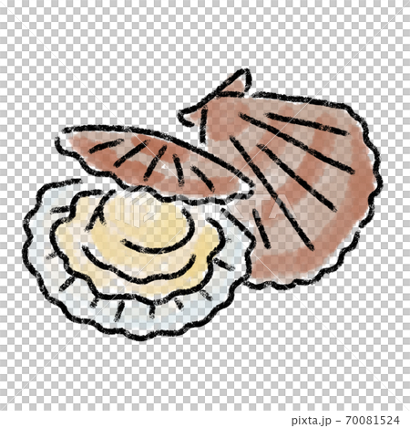 扇貝扇貝水彩手繪材料 70081524