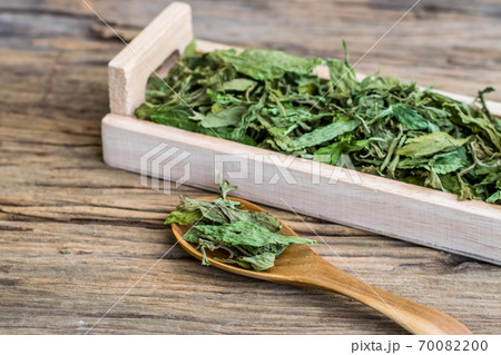 Dry stevia leaf 70082200