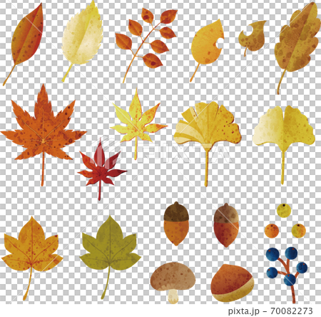 Autumn material watercolor illustration set 70082273