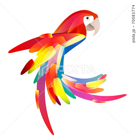 Stylized illustration of a parrot with a multicolored tail 70083774