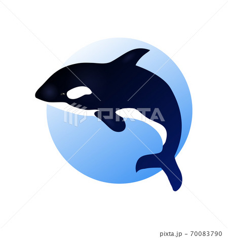 Illustration with grampus on a blue circle. 70083790