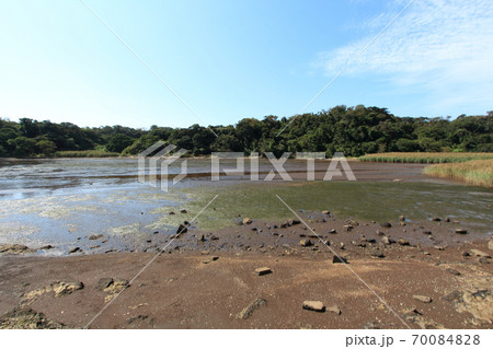 三浦・岩礁の道　江奈湾の干潟 70084828
