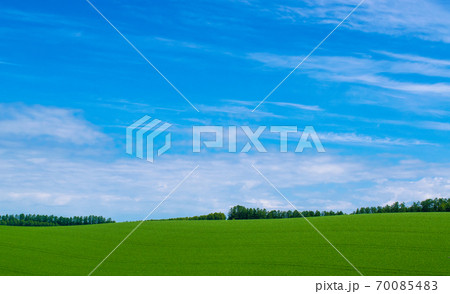 丘の風景 美瑛 拓進 丘の風景 美瑛 拓進 70085483