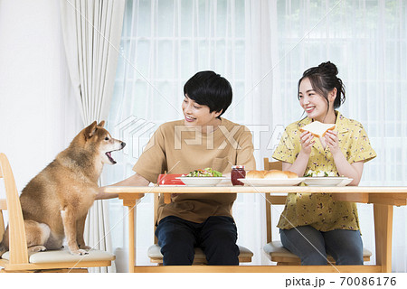 犬のいる暮らし 食事 犬のいる暮らし 食事 70086176