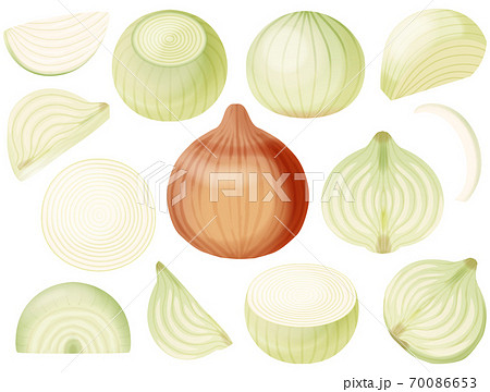 色々なタマネギ 色々なタマネギ 70086653