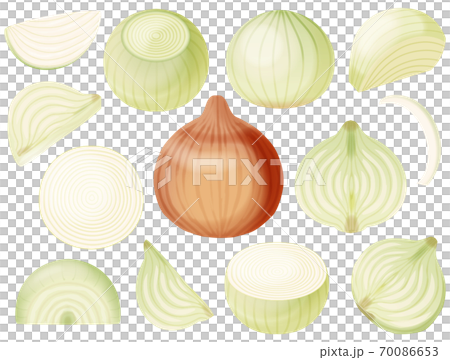 色々なタマネギ 色々なタマネギ 70086653