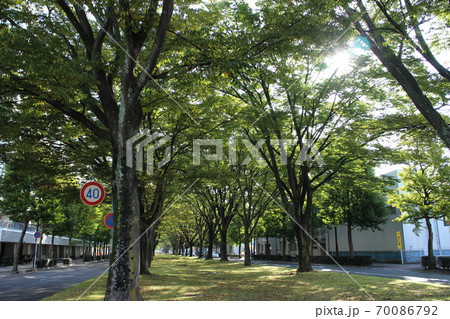 仙台市若林区　卸町大通周辺 70086792