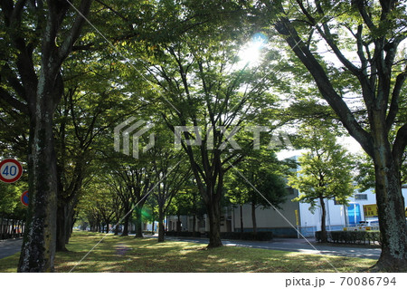 仙台市若林区　卸町大通周辺 70086794