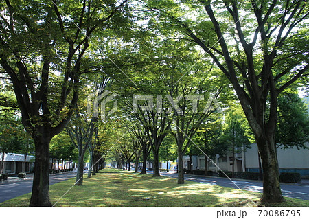 仙台市若林区　卸町大通周辺 70086795