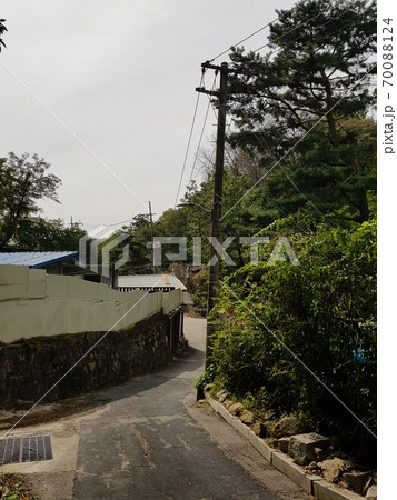 風景 自然 樹木 70088124