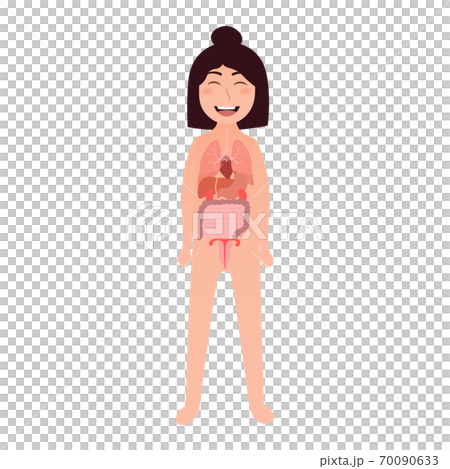 Cartoon girl body anotomy illustration - inner organs lungs, liver, stomach, uterus, heart, intensive Cartoon girl body anotomy illustration - inner organs lungs, liver, stomach, uterus, heart, intensive 70090633