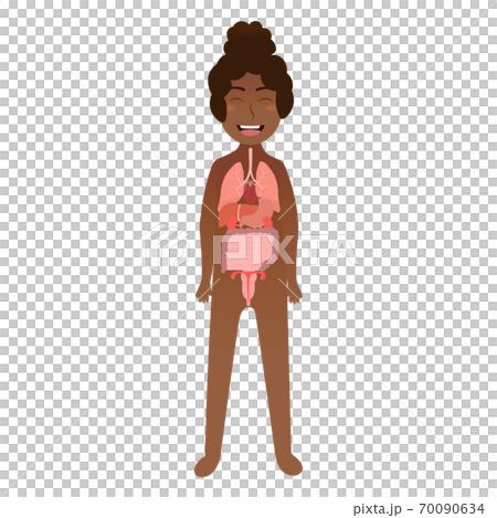 Girl internal organs for science poster for kids, child body anatomy in cartoon vector style Girl internal organs for science poster for kids, child body anatomy in cartoon vector style 70090634