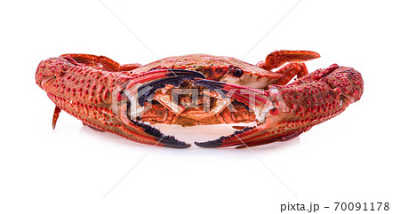 Crab muscles on white background 70091178