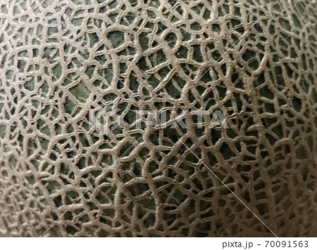 アールスメロン（マスクメロン）の網目もよう 70091563