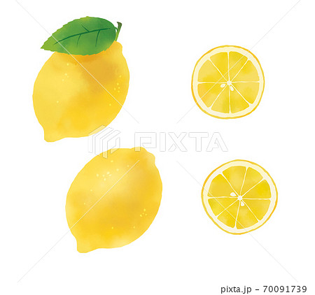 水彩タッチのフルーツイラスト レモンのイラスト素材 のイラスト素材