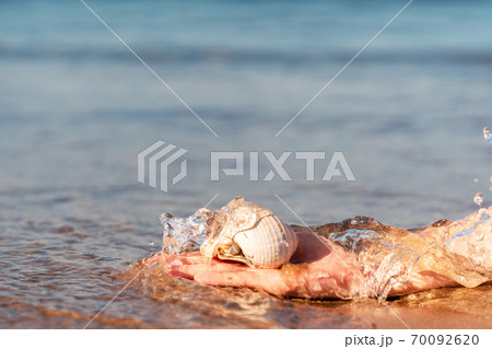 Hand is grabing a sea shell from crystal clear water at the golden sandy Beach in Antalya. Hand is grabing a sea shell from crystal clear water at the golden sandy Beach in Antalya. 70092620