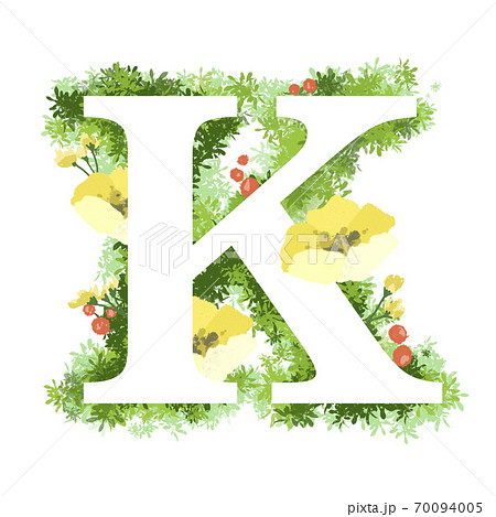 Fashionable Flower Illustration English Font K Stock Illustration