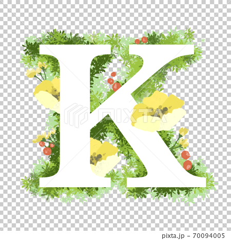 おしゃれなお花イラストの英語のフォント Kのイラスト素材