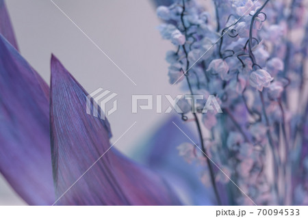 Close up faded bouquet Convallaria majalis flowers in the color light. Beautiful plant minimal in neon light. Minimalism retro style concept. Background pattern for design... Close up faded bouquet Convallaria majalis flowers in the color light. Beautiful plant minimal in neon light. Minimalism retro style concept. Background pattern for design... 70094533