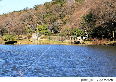 千葉県 じゅん菜池緑地の冬の風景 千葉県 じゅん菜池緑地の冬の風景 70095426