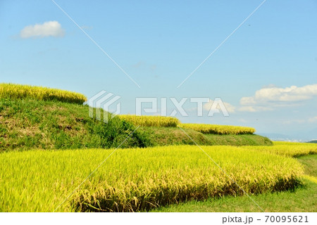 日本遺産「月の都千曲」の姨捨棚田 日本遺産「月の都千曲」の姨捨棚田 70095621