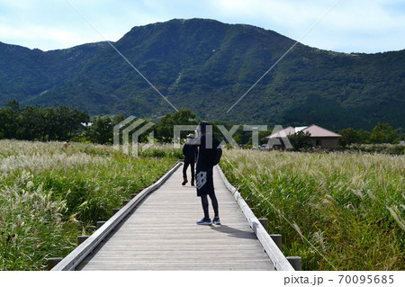 くじゅう連山のすそ野に広がる「タデハラ湿原」　爽やかな風が吹く人気ハイキングコース 70095685