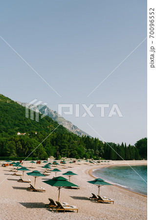 Luxurious wooden sun loungers and green beach umbrellas, on a sandy beach in Milocer Park, near Sveti Stefan Island, Montenegro. Luxurious wooden sun loungers and green beach umbrellas, on a sandy beach in Milocer Park, near Sveti Stefan Island, Montenegro. 70096552