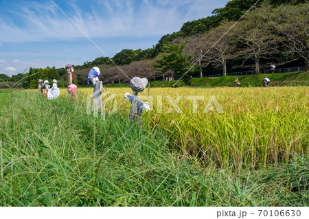 案山子とサイクリング 70106630