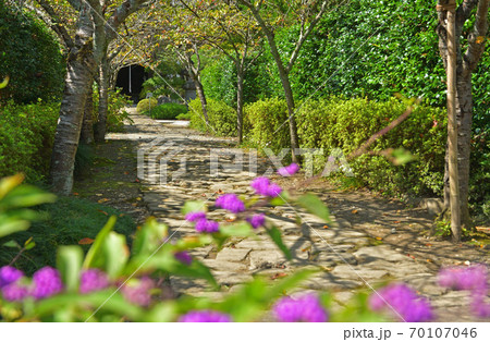 秩父散歩：三十三番札所　延命山・菊水寺  曹洞宗 70107046