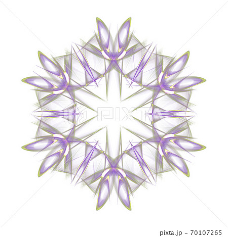 美しい六角形(背景透過PNG) 20201004_012 美しい六角形(背景透過PNG) 20201004_012 70107265