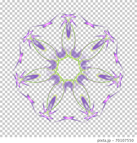 Beautiful heptagon (transparent PNG background) 20201004_004 Beautiful heptagon (transparent PNG background) 20201004_004 70107550