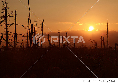 野付半島トドワラの夕景 70107588