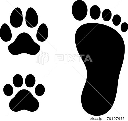 Human foot with dog and cat paw Human foot with dog and cat paw 70107955