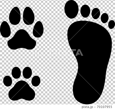 Human foot with dog and cat paw Human foot with dog and cat paw 70107955